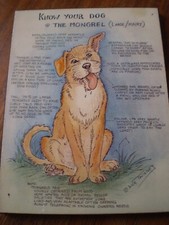Know dog mongrel for sale  BIRMINGHAM