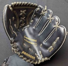 Guantone baseball pennant usato  Castelnuovo Don Bosco