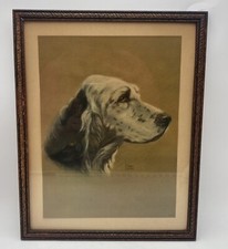 English setter litho for sale  Fort Worth