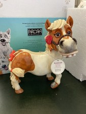 Pets personality arora for sale  STOKE-ON-TRENT
