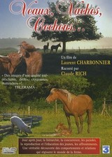 Veaux vaches cochons. d'occasion  Hennebont