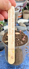 Plantelit grow food for sale  Austin