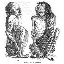 Múmias peruanas do Peru - Estampa antiga 1850 comprar usado Múmias peruanas do Peru - Estampa antiga 1850 comprar usado  Enviando para Brazil