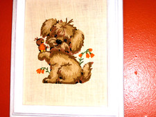 Lovely puppy pet for sale  Houston