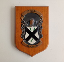 Vintage coat arms for sale  WALLASEY