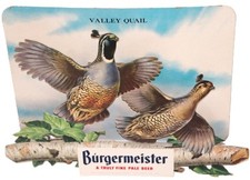 valley quail for sale valley quail for sale Cheyenne