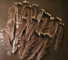 Wild turkey feathers for sale  Woodland