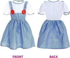 Ladies dorothy costume for sale  BRADFORD