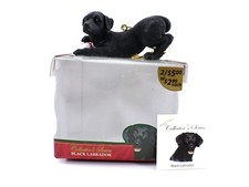 American canine association for sale  Albuquerque