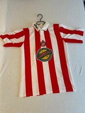Sunderland afc trikot gebraucht kaufen  Duisburg