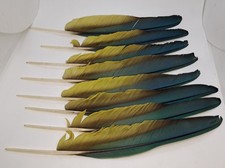 Macaw left wing for sale  Leicester