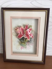 stargazer lily for sale stargazer lily for sale TAUNTON