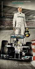Nico rosberg top gebraucht kaufen  Neulußheim