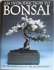 Introduction bonsai for sale  North Smithfield