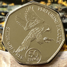 2023 peregrine falcon for sale  UK