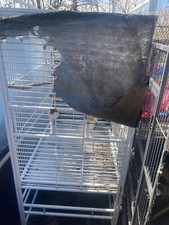 Large bird cage for sale  Eden Prairie