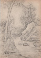 Carlo carra alberi usato  Castellammare di Stabia
