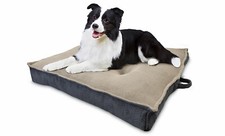 American kennel club for sale  USA