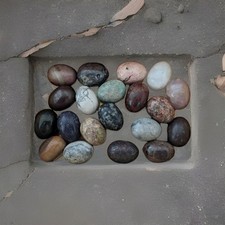 Egg shaped natural for sale  LONDON