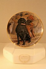 Franklin mint lifelong for sale  Willow Street