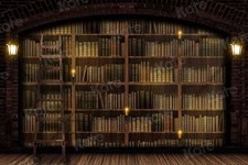bibliothek regal gebraucht kaufen bibliothek regal gebraucht kaufen Plettenberg