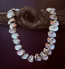 Necklace sea shells for sale  New Orleans