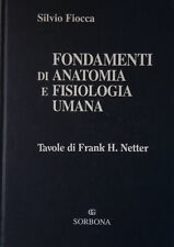 Fondamenti anatomia fisiologia usato  Italia