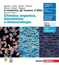 Carbonio gli enzimi usato  Italia
