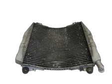 Wasserkühler kawasaki ninja gebraucht kaufen  Ellwangen (Jagst)