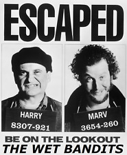 1990 home alone for sale  Knoxville