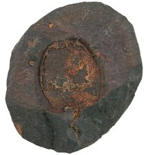 Rdovizium mitrocystites mitra gebraucht kaufen  Erlangen