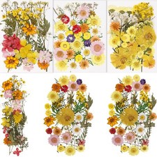 Bihrtc 100pcs pressed for sale  USA