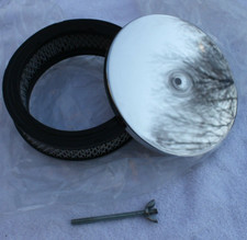 Chrome air cleaner for sale  Jamison