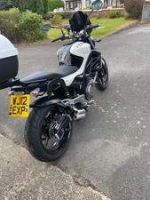 sfv 650 gladius for sale sfv 650 gladius for sale BONCATH