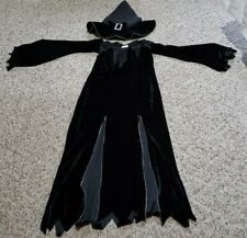 Wicked witch costume for sale  Harrisburg