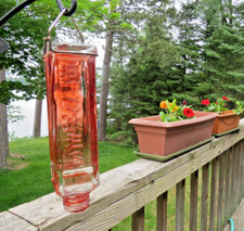 Nectar jar glass for sale  Brainerd