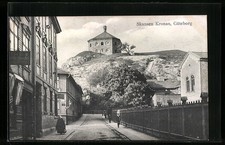 Cartolina göteborg skansen usato  Spedire a Italy