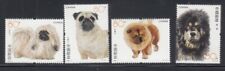 China pekingese pug for sale  Astoria