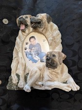 Bull mastiff photo for sale  Cincinnati