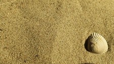 Sand julianadorp strand gebraucht kaufen  Detmold