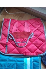 Felix bühler schabracken gebraucht kaufen  Plauen