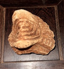 Taino artifact interesting for sale  Brooklyn