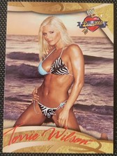 2004 Fleer WWE Divine Divas 2005 - Torrie Wilson #8 Não Suportado comprar usado  Enviando para Brazil