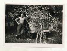Kleines foto luftwaffe gebraucht kaufen  Rommerskirchen