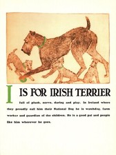 Vintage irish terrier for sale  Harborton