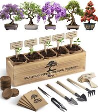 Bonsai tree kit for sale  Brentwood