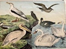 1880 large antique for sale 1880 large antique for sale  NEWPORT