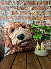 Pair cockapoo cute for sale  ROMNEY MARSH