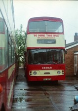 Cedar coaches tayside for sale  LUTON
