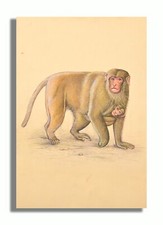 Pintura De Mono Macaco Para Madre Y Bebé Hecha A Mano 8.8 X 6 Pulgadas "PN13372" comprar usado  Enviando para Brazil
